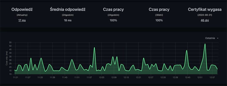 Statystyki monitorowanej usługi
