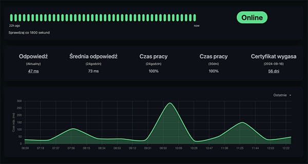 Wykres monitoringu Uptime Kuma